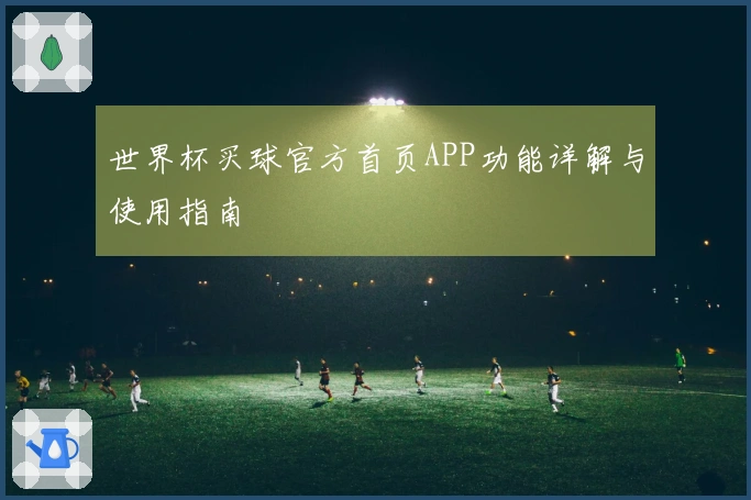 世界杯买球官方首页APP功能详解与使用指南