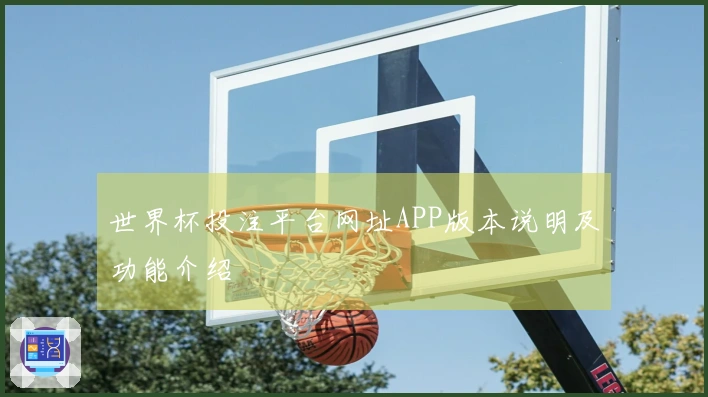 世界杯投注平台网址APP版本说明及功能介绍