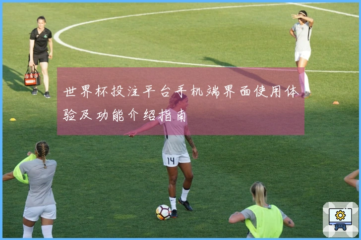 世界杯投注平台手机端界面使用体验及功能介绍指南