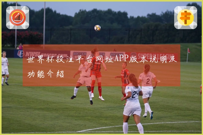世界杯投注平台网址APP版本说明及功能介绍