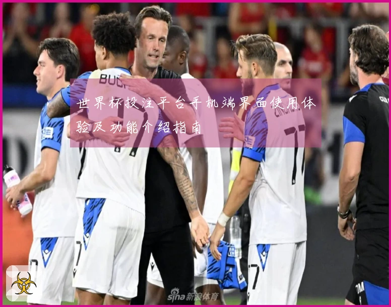 世界杯投注平台手机端界面使用体验及功能介绍指南