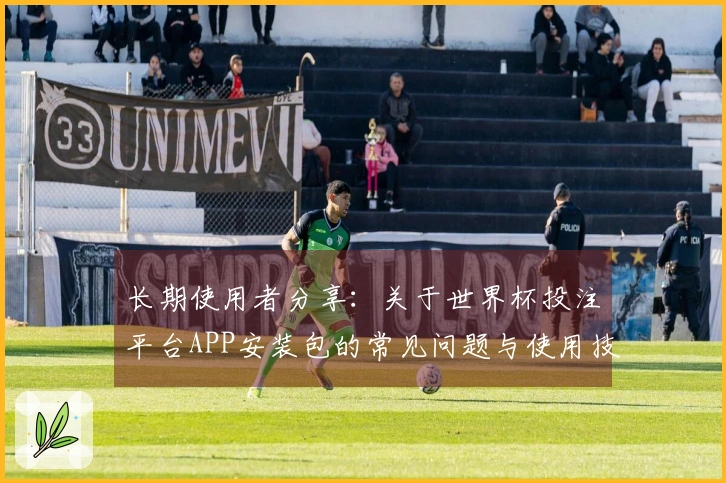 长期使用者分享：关于世界杯投注平台APP安装包的常见问题与使用技巧总结