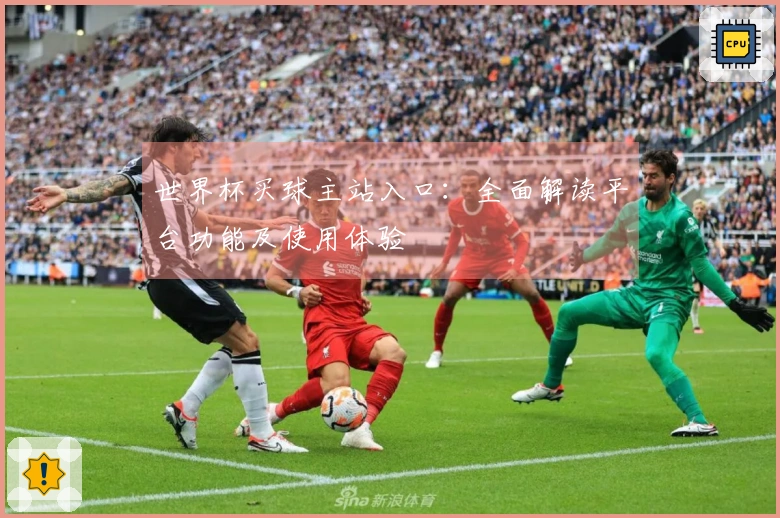 世界杯买球主站入口：全面解读平台功能及使用体验
