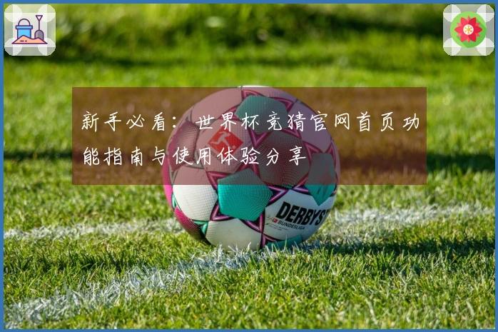 新手必看：世界杯竞猜官网首页功能指南与使用体验分享