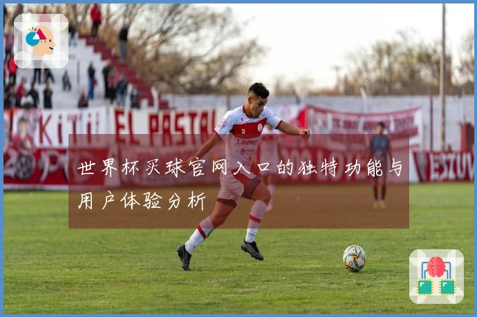 世界杯买球官网入口的独特功能与用户体验分析
